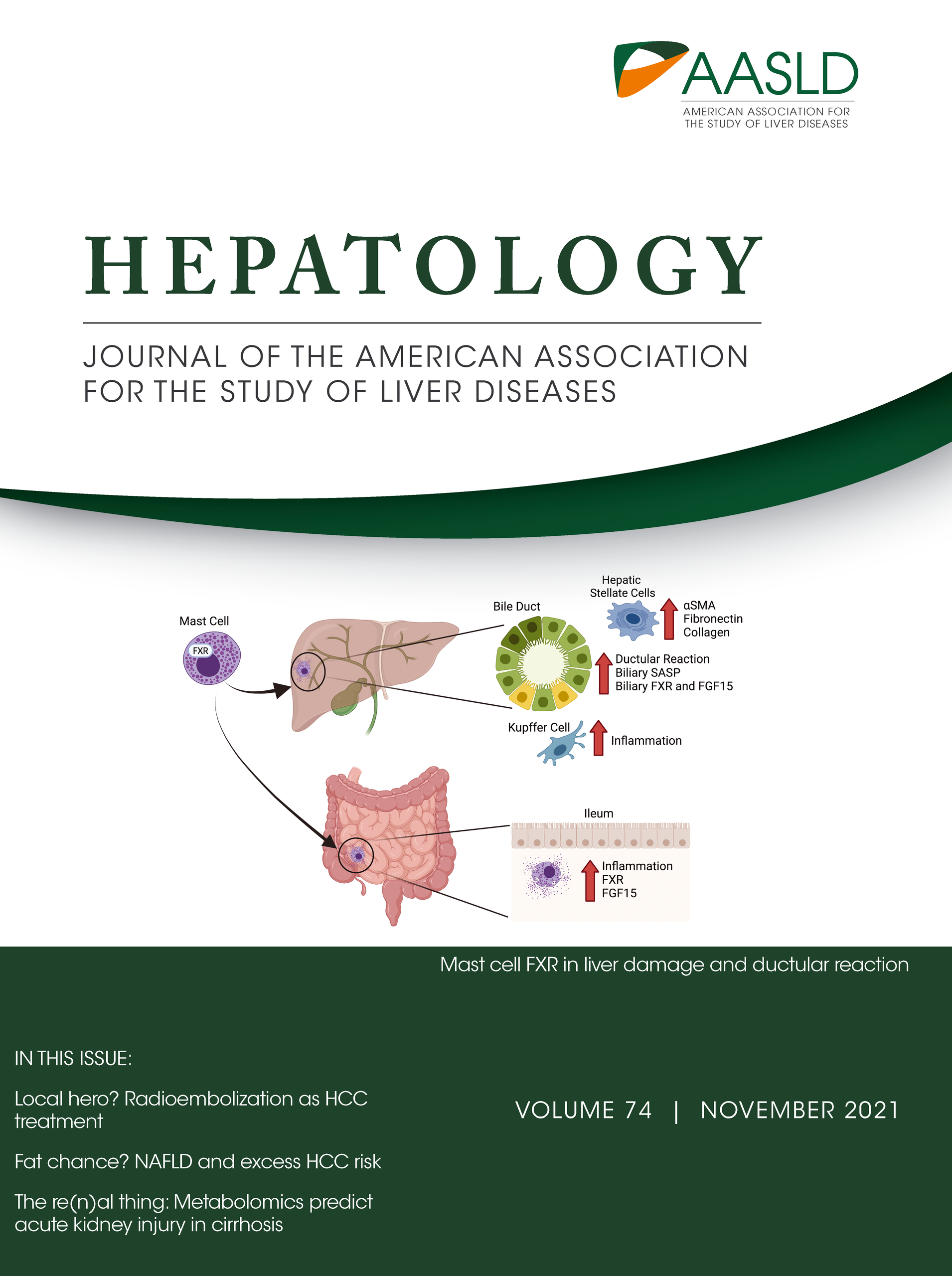 hepatology 2021 cover image