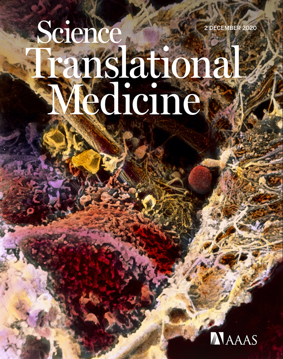 stm.2020.12.issue 572.largecover